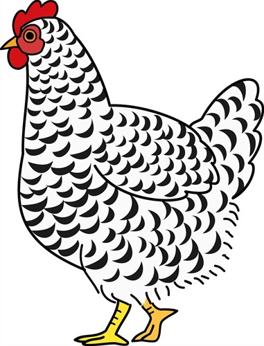 Muursticker Boerderij Kip