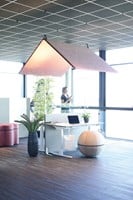Het Hutdak geluidsabsorberend design groot-2