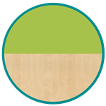 Ahorn avocadogroen