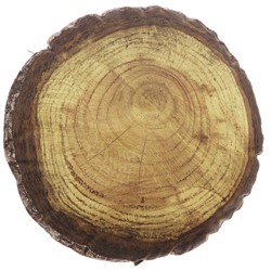 Houten Jaarring Kussen Forest Indoor 