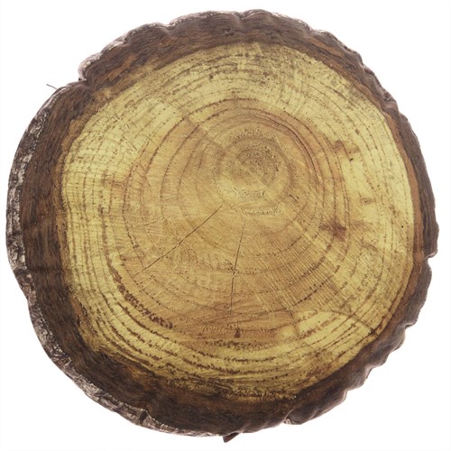 Houten Jaarring Kussen Forest Indoor 