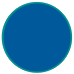 Petrol